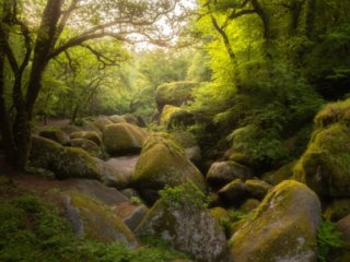 Arch of green 768x1024