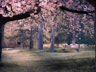Spring at Le Vesinet