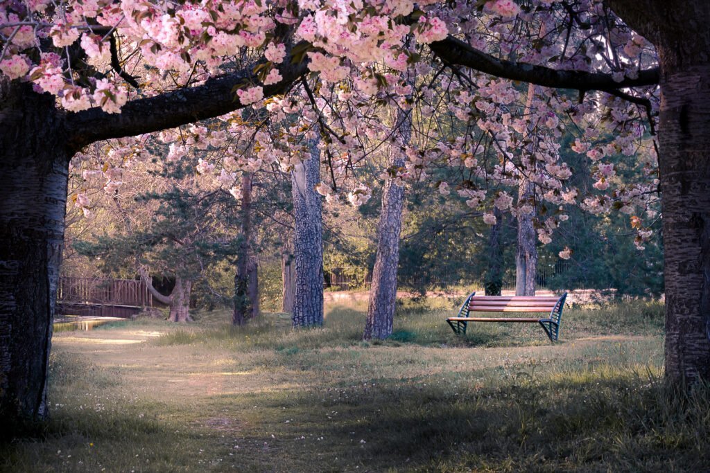 Spring at Le Vesinet