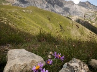 Cirque de Salazie, Alps