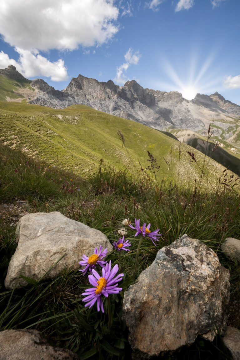 Camp des Fourches und der Talkessel, Alpen, Frankreich