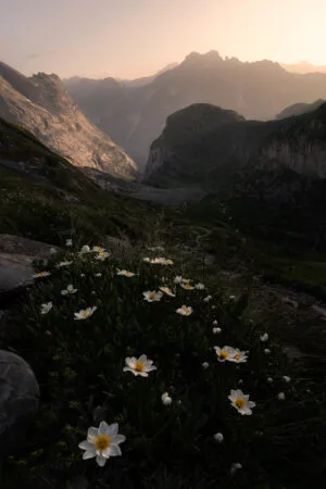 Sunset in Col de la Vanoise, French Alps.