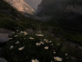 Sunset at col de la Vanoise with flowers