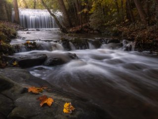 Waterfall of Vaux de Cernay in autumn, with leaves at the foreground