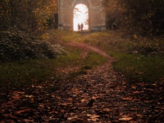 Door in the woods near Rambouillet