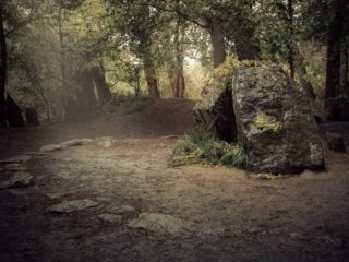 Tombeau de Merlin in for&ecirc;t de Broc&eacute;liande