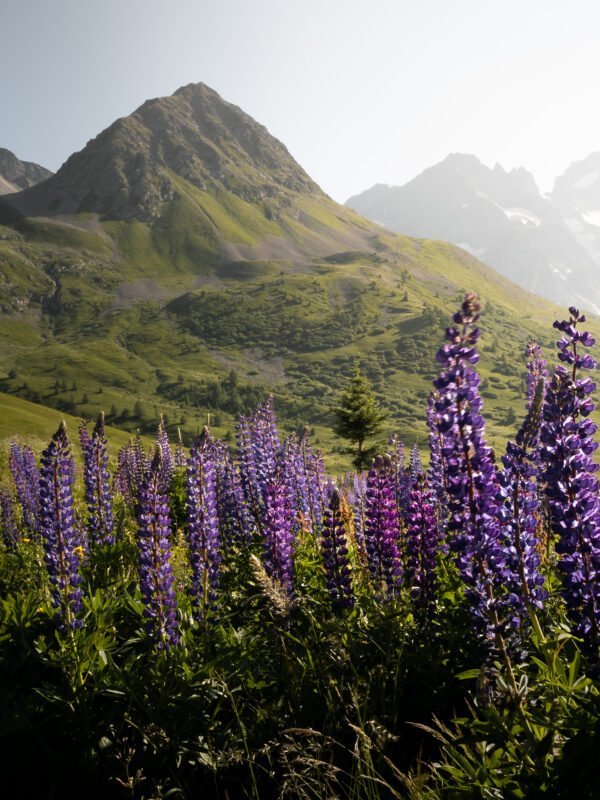 Col du Lautaret, Alps, France