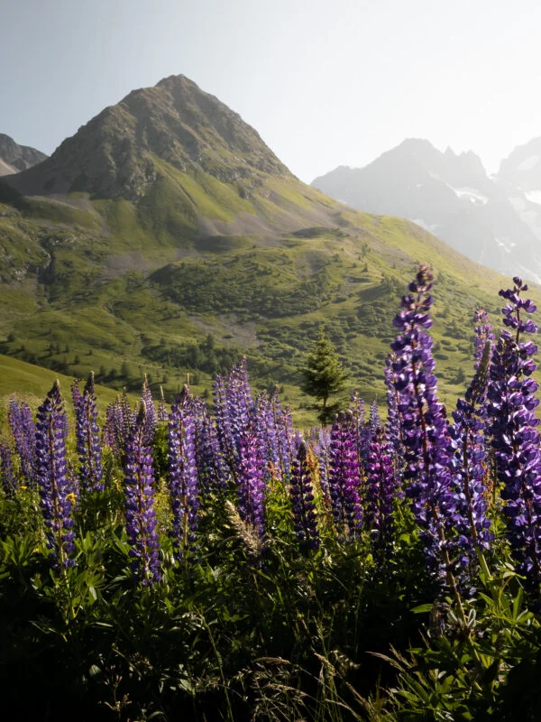 Col du Lautaret, Alpes, France