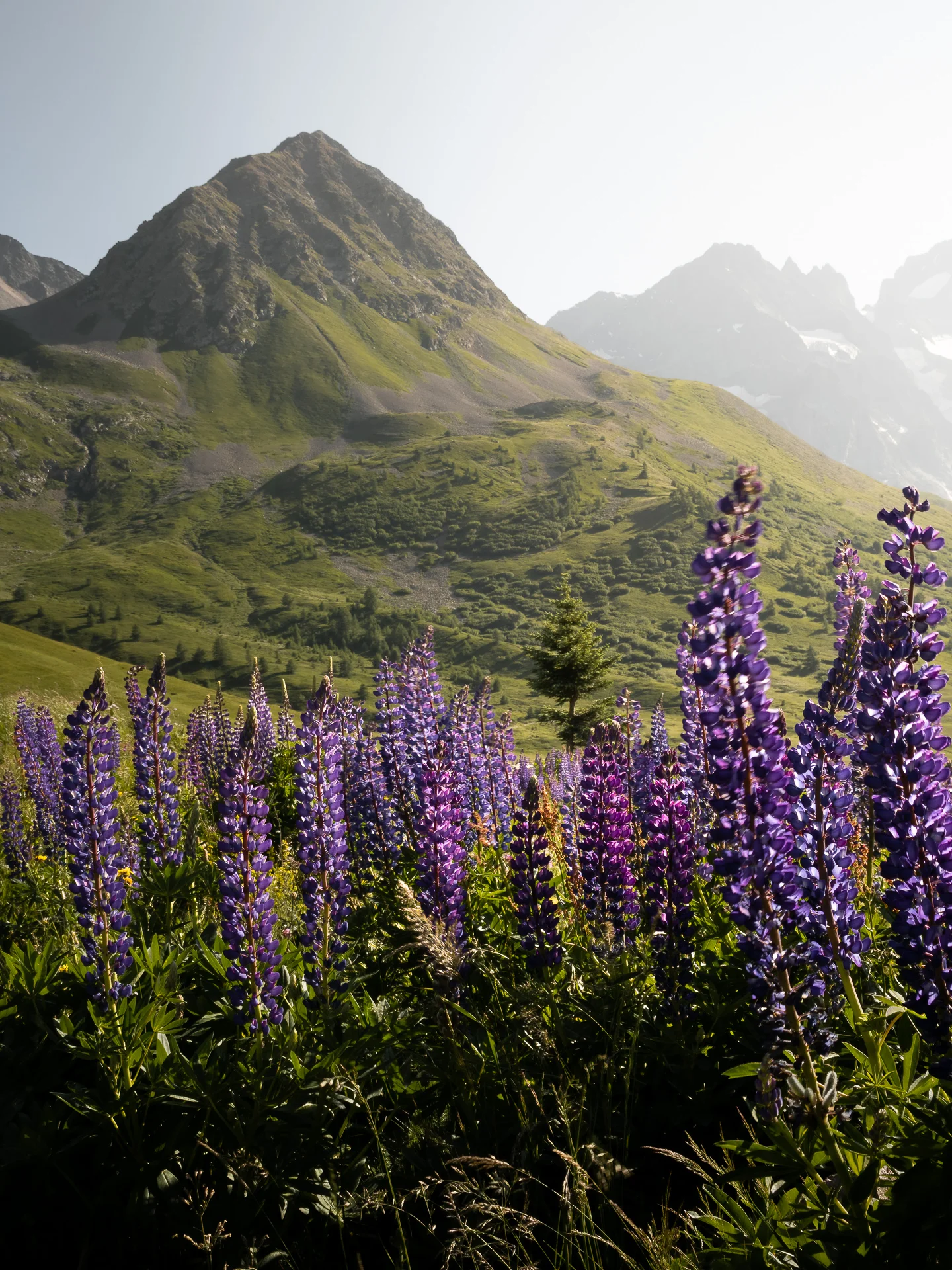 Col du Lautaret, Alpen, Frankreich