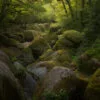 Forest of Huelgoat, Brittany, France.