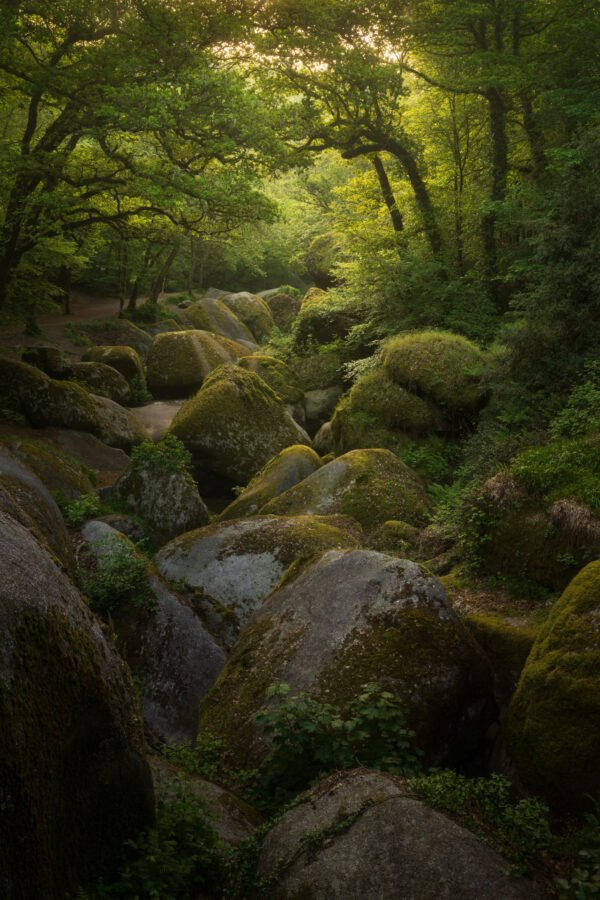 Forest of Huelgoat, Brittany, France.