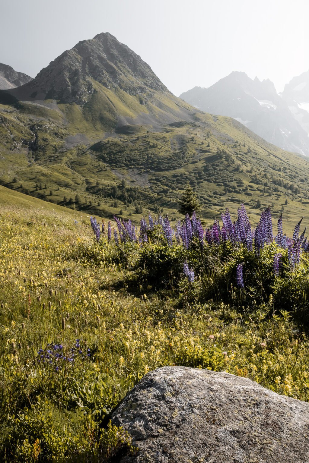 Col du Lautaret, Alpen, Frankreich