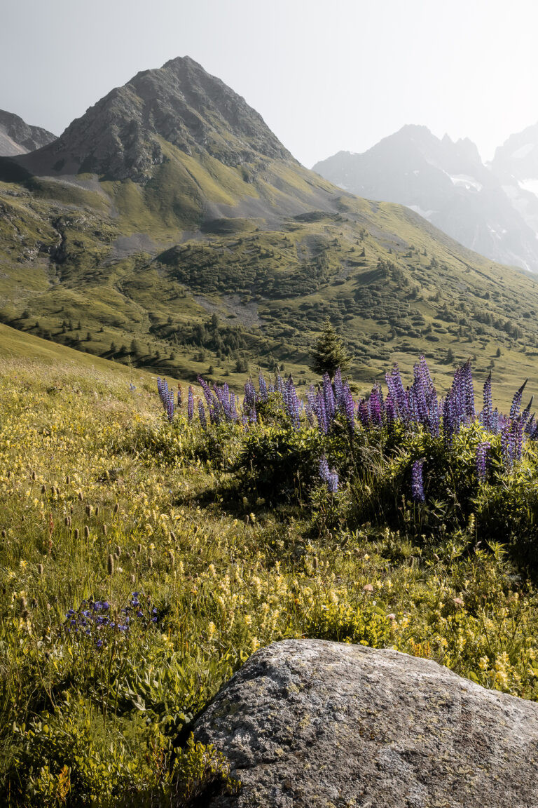 Col du Lautaret, Alps, France.