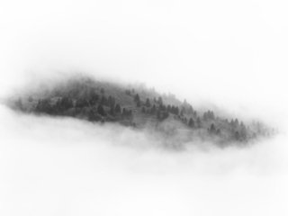 Black and white photo of a forest in the clouds