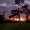 Sunset in Le Vesinet, France