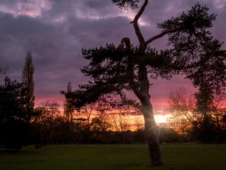 Sunset behind the tree in Le V&eacute;sinet