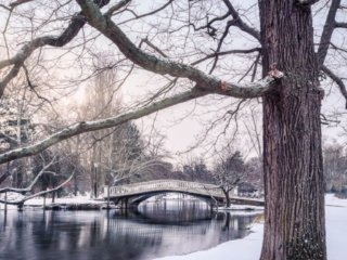 Winter near the Lac des Ibis in Le V&eacute;sinet