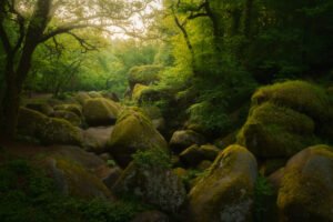 Forest of Huelgoat, Brittany, France.