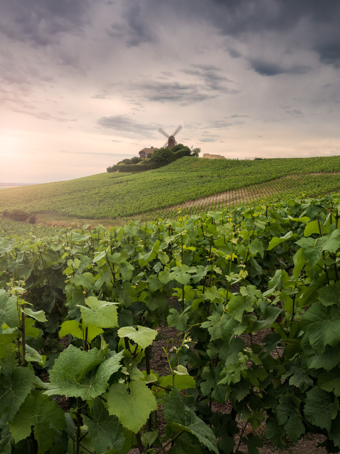 Mill of the famous Champagne Mumm brand.
