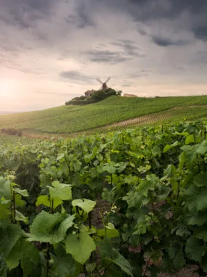 Molino de la famosa marca de champán Mumm