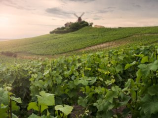 Mill of the famous Champagne Mumm brand