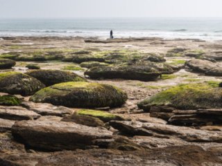 Silhouette in the front of the sea at Audresselles, France