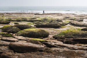 Silhouette in the front of the sea at Audresselles, France