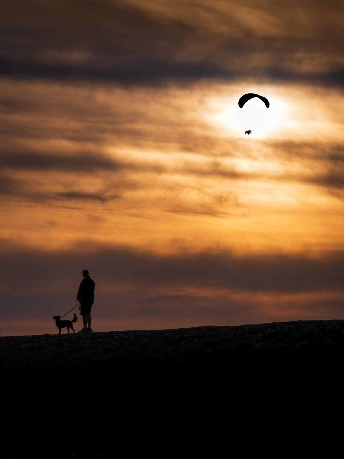 Parapente cruzando el sol sobre un hombre y su perro en una duna al atardecer, Berck-sur-Mer, Francia.