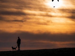 Light glider and the dog walk in Berck sur Mer, France
