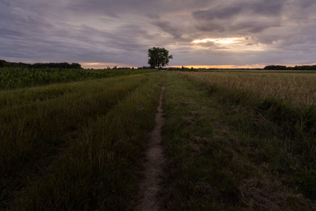 Sunset at Magny-les-Hameaux, France.