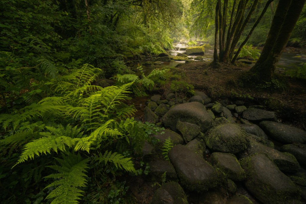 Gorges du Stangala, Quimper, France.