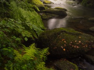 Gorges du Stangala, Quimper, France.