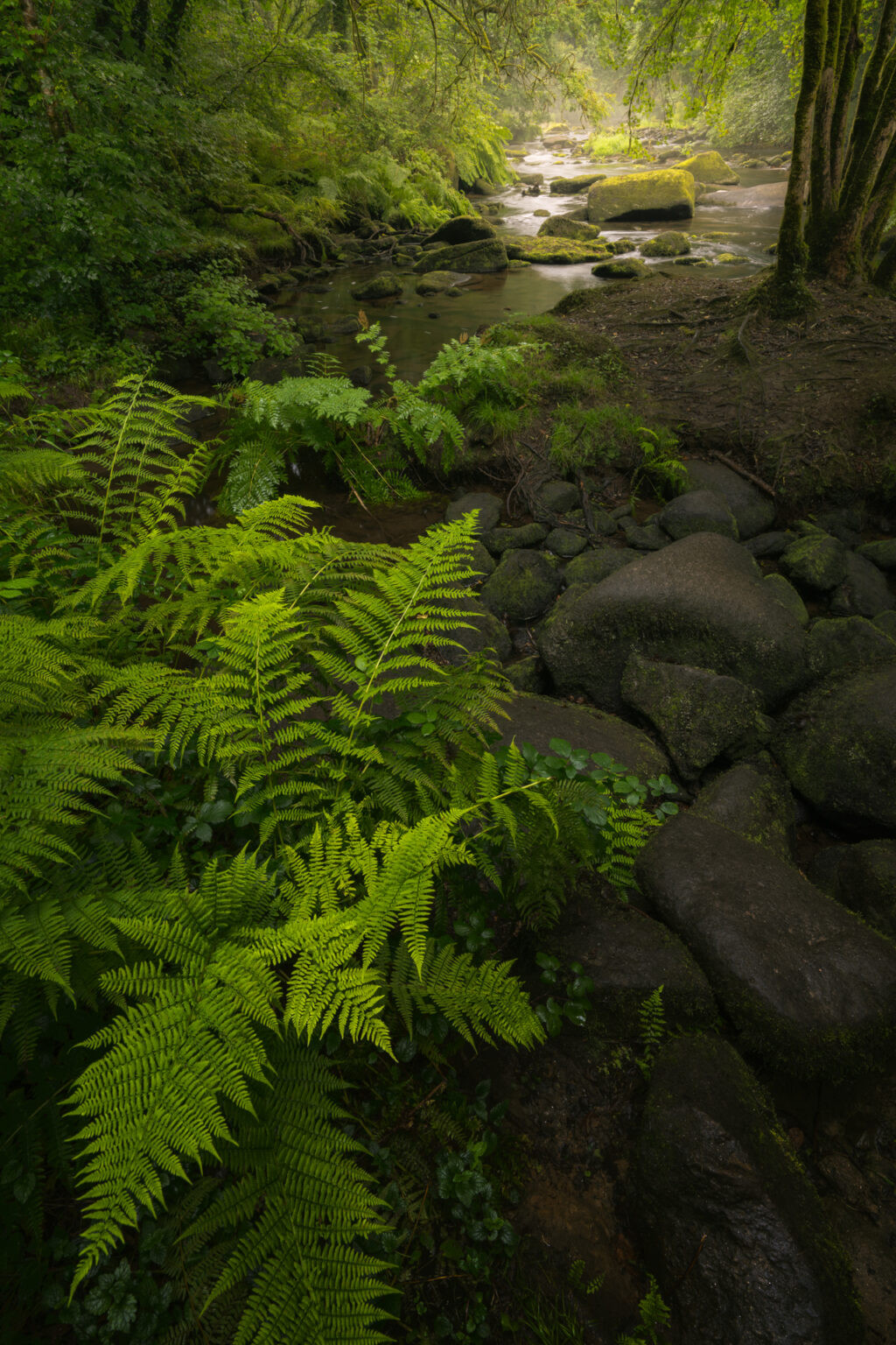 Gorges du Stangala, Quimper, France.
