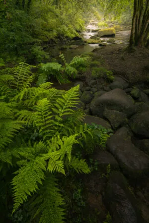 Gorges du Stangala, Quimper, France.