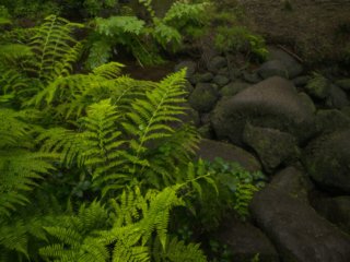 Gorges du Stangala, Quimper, France.