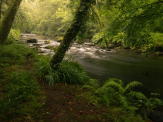 Gorges du Stangala, Quimper, France.
