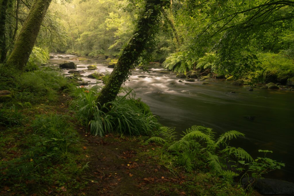 Gorges du Stangala, Quimper, France.