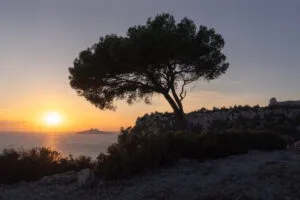 Sonnenuntergang am Cap Canaille, Cassis, Frankreich.