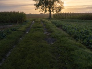 Sunrise on fields at Magny-les-hameaux, France.