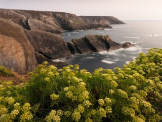 Cap de la Ch&egrave;vre, Crozon, France.