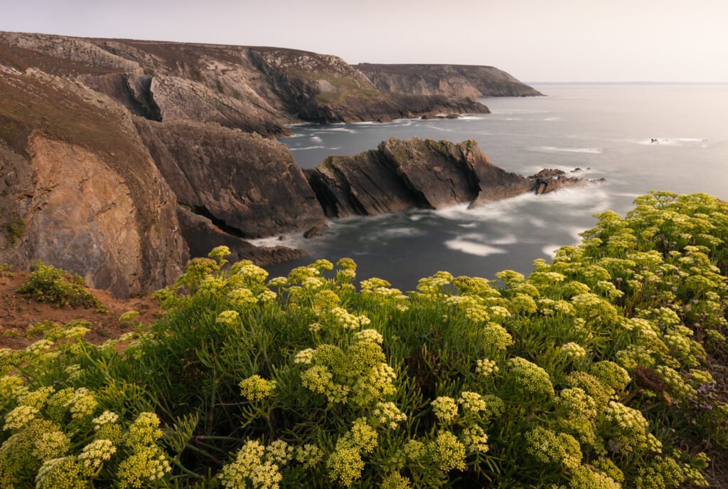 Cap de la Chèvre, Crozon, France.