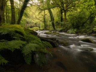 Gorges du Stangala, Quimper, France.