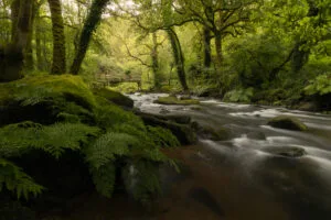 Gorges du Stangala, Quimper, Frankreich.