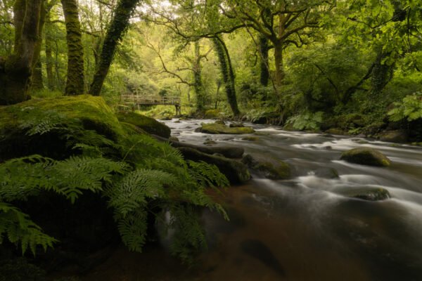 Gorges du Stangala, Quimper, France.