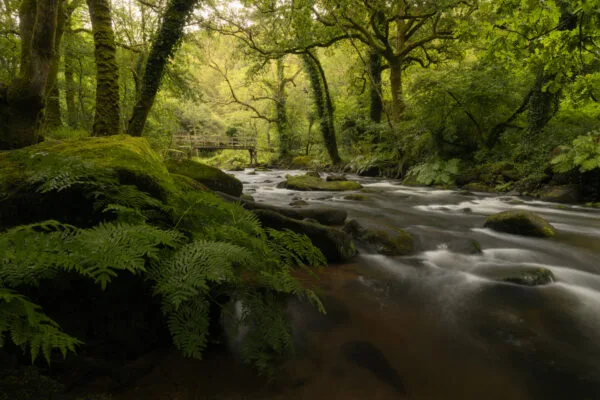 Gorges du Stangala, Quimper, France.