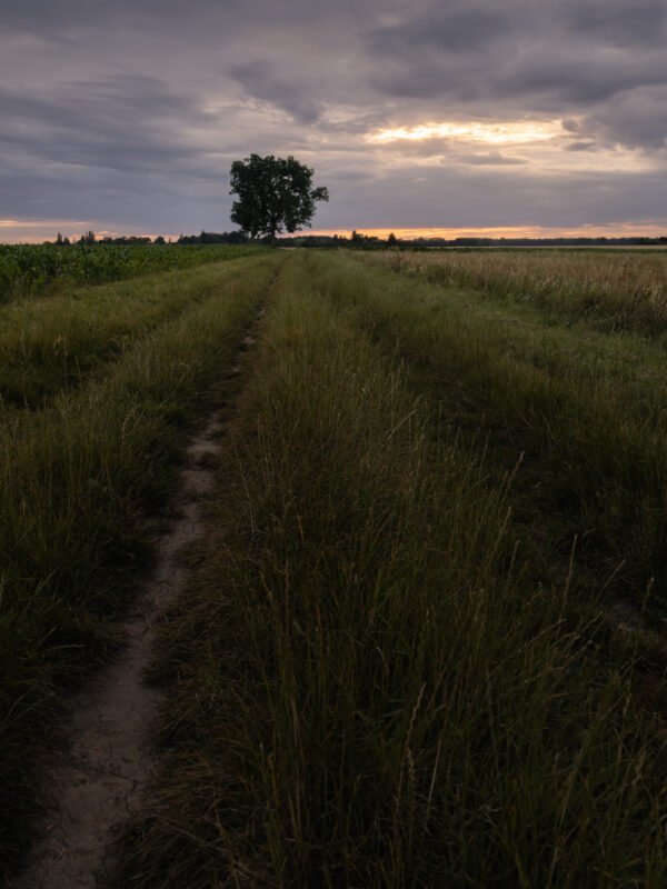 Sunset at Magny-les-Hameaux, France.
