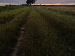 Sunset at Magny-les-Hameaux, France.