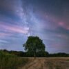 The tree and the Milky Way, Magny-les-Hameaux, France.