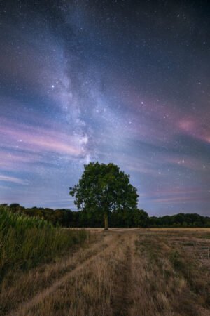 The tree and the Milky Way, Magny-les-Hameaux, France.