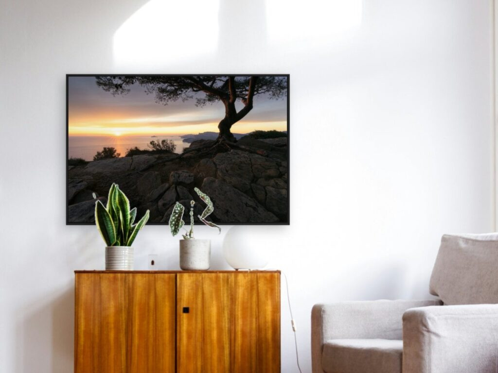 Cape pine at 120 × 80 cm in a black floater frame, above a wooden sideboard (room view)